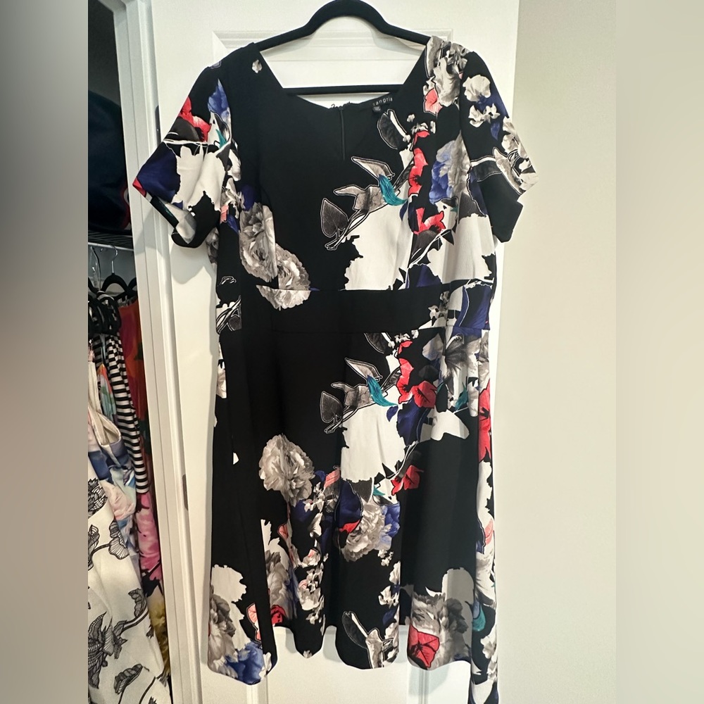 Sangria Plus Size Black/White/Gray Color Pop Dress